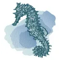 Seahorse at sea depth embroidery design showcasing intricate details of marine life, perfect for ocean-themed projects.