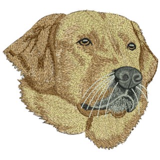 Golden retriever embroidery design - Embroidery Design