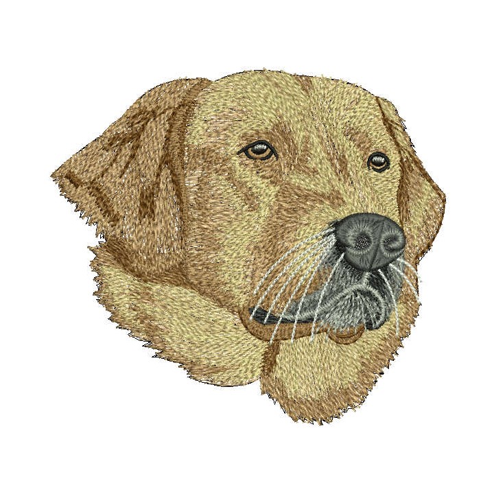 Golden retriever embroidery design - Embroidery Design