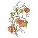 Physalis embroidery design showcasing intricate floral details, perfect for stitching on t-shirts or tote bags.