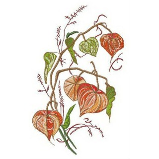 Physalis embroidery design - Embroidery Design