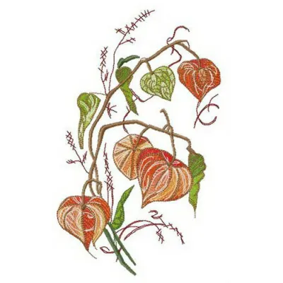 Physalis embroidery design showcasing intricate floral details, perfect for stitching on t-shirts or tote bags.