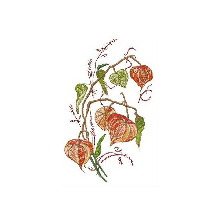Physalis embroidery design - Embroidery Design