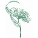 Eucalyptus embroidery design preview showcasing intricate floral details for crafting and stitching projects.