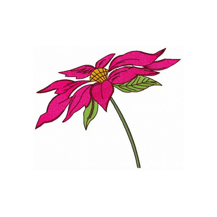 Pyrethrum embroidery design - Embroidery Design
