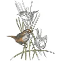 Kinglets embroidery design showcasing intricate bird motifs, perfect for embellishing apparel and home decor.