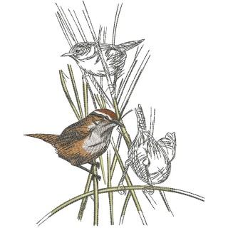 Kinglets embroidery design - Embroidery Design