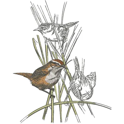 Kinglets embroidery design showcasing intricate bird motifs, perfect for embellishing apparel and home decor.