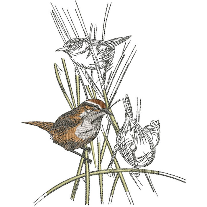 Kinglets embroidery design - Embroidery Design