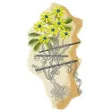 Hooked kite embroidery design featuring floral motifs, ideal for embellishing t-shirts, bags, or home decor.