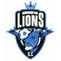 Binghamton Lions logo embroidery design for football, showcasing intricate stitching patterns for apparel.