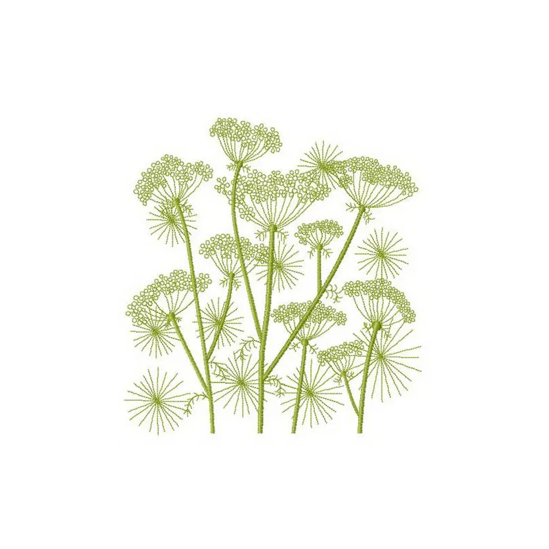 Cow parsnip embroidery design showcasing intricate floral patterns, ideal for stitching on various fabric items.