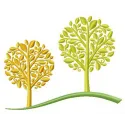 Preview of two autumn trees embroidery design featuring vibrant fall colors, ideal for seasonal projects.