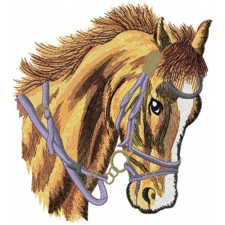Head of a tired horse embroidery design - Embroidery Design