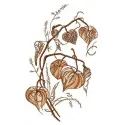 Preview of a Physalis flower embroidery design showcasing intricate stitching patterns for floral enthusiasts.