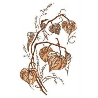 Physalis flower embroidery design - Embroidery Design
