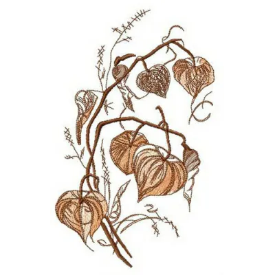 Preview of a Physalis flower embroidery design showcasing intricate stitching patterns for floral enthusiasts.