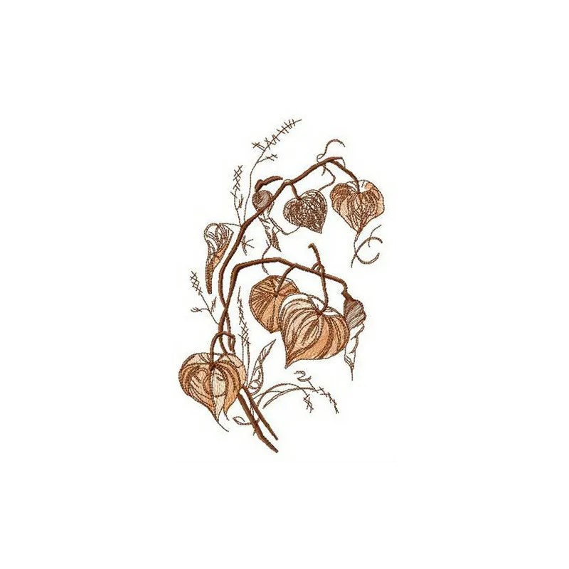 Preview of a Physalis flower embroidery design showcasing intricate stitching patterns for floral enthusiasts.