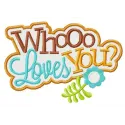 Whooo loves you? embroidery design showcased on a cozy pillow, featuring whimsical lettering and owl motifs.