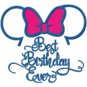 Preview of the 'Best Birthday Ever' embroidery design featuring vibrant letters for creative stitching projects.