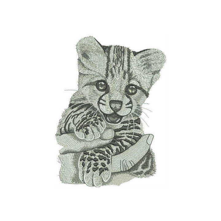 Baby cheetah embroidery design - Embroidery Design