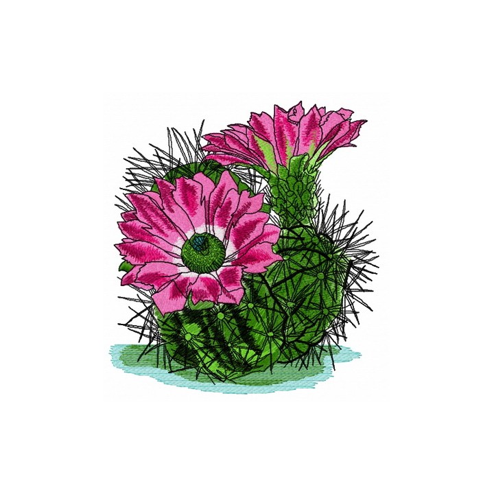 Mammillaria embroidery design - Embroidery Design