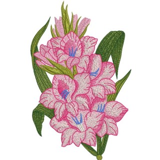 Bouquet of gladioluses embroidery design - Embroidery Design