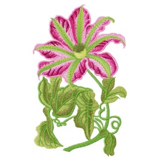Clematis embroidery design - Embroidery Design