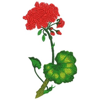 Geranium embroidery design - Embroidery Design
