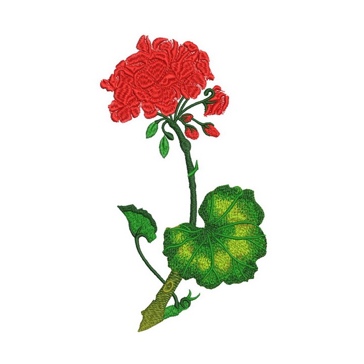 Geranium embroidery design - Embroidery Design