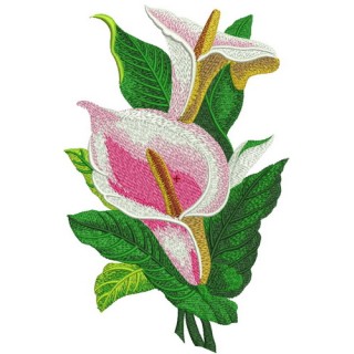 Pink calla lilies embroidery design - Embroidery Design