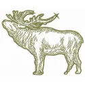 Reindeer embroidery design featuring a charming woodland animal motif, ideal for festive stitching on various projects.