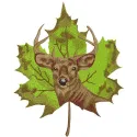 Deer on maple leaf embroidery design showcasing a woodland animal motif for creative stitching projects.
