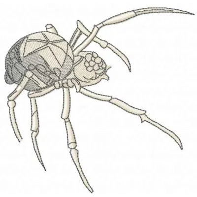 Black Widow Spider embroidery design showcasing intricate details, ideal for stitching on apparel and home decor.