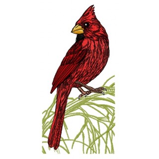 Northern cardinal on tree branch embroidery design - Embroidery Design