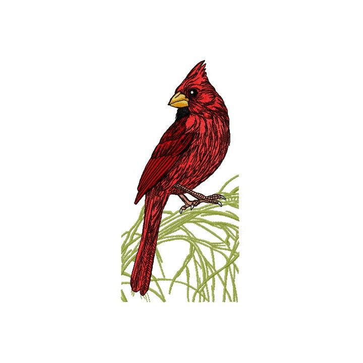 Northern cardinal on tree branch embroidery design - Embroidery Design