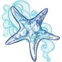 Sea star 3 embroidery design showcasing a vibrant sea star motif for stitching on apparel and home decor.