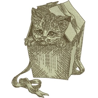 Kitten in a box embroidery design - Embroidery Design