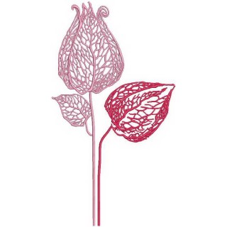 Physalis embroidery design - Embroidery Design