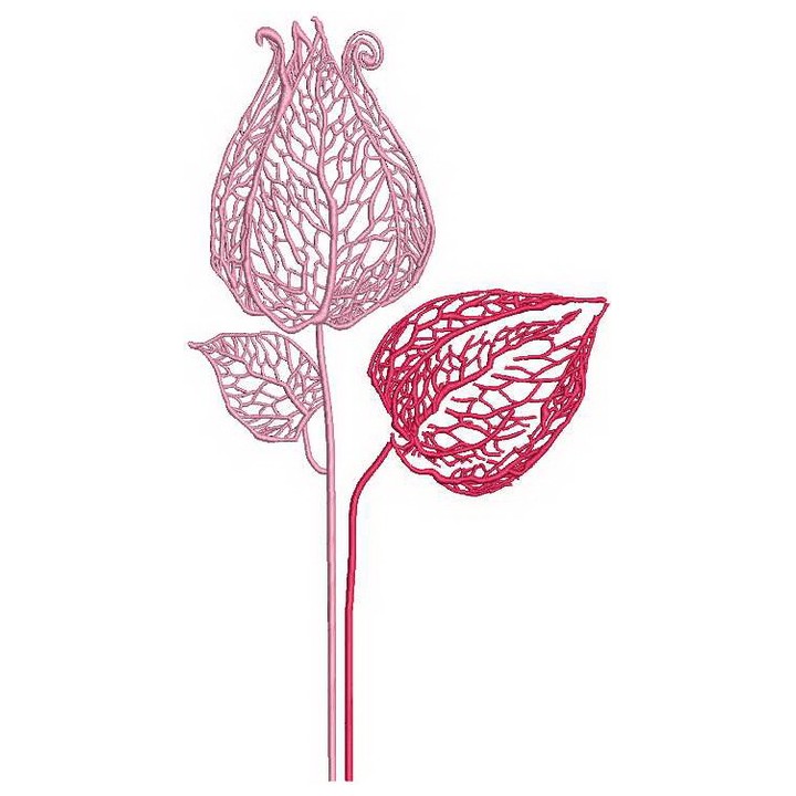 Physalis embroidery design - Embroidery Design