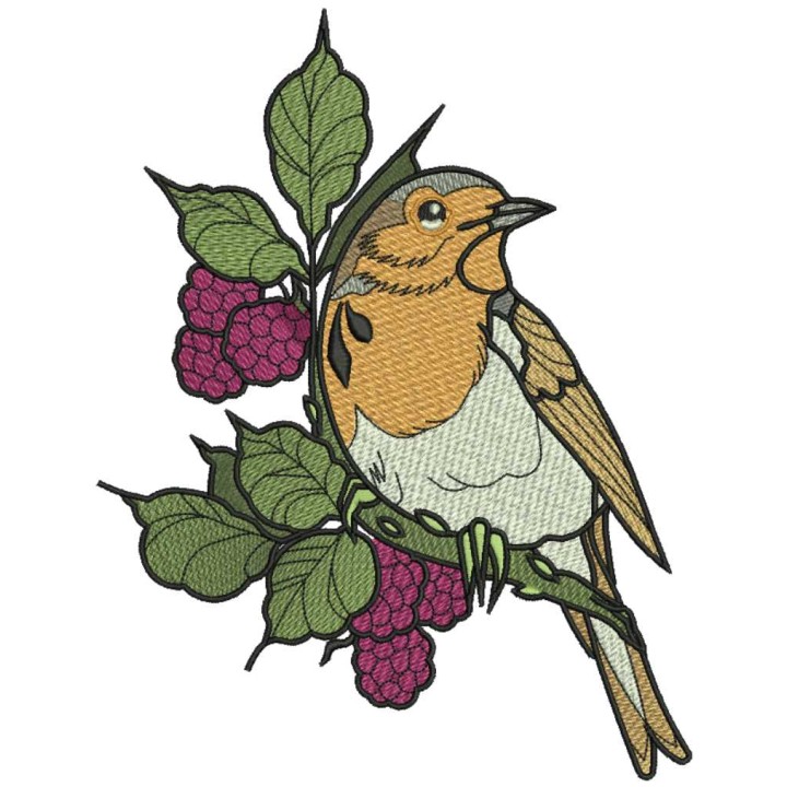 European robin embroidery design - Embroidery Design
