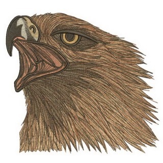 Wild eagle embroidery design - Embroidery Design