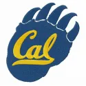 California Golden Bears alternative logo embroidery design preview showcasing intricate stitching patterns.