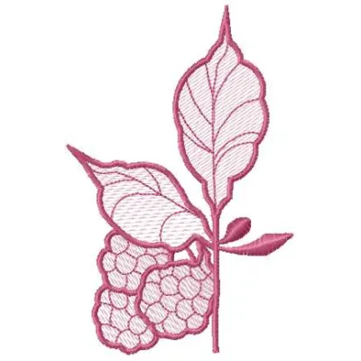 Blend berries embroidery design featuring vibrant fruit motifs, perfect for kitchen-themed projects and home decor.