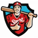 Baseball player 17 embroidery design showcasing a dynamic player ready to hit, perfect for sports-themed projects.
