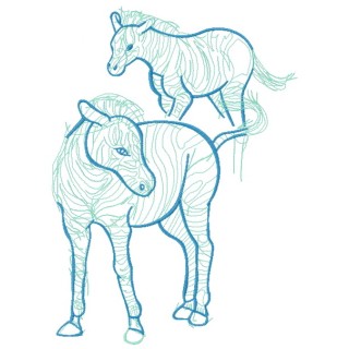 Zebra sketch embroidery design - Embroidery Design