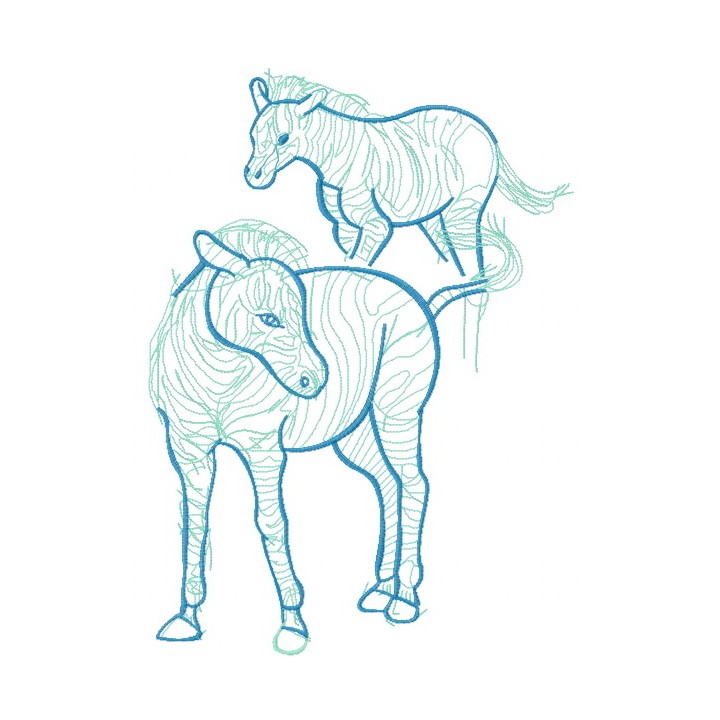 Zebra sketch embroidery design - Embroidery Design
