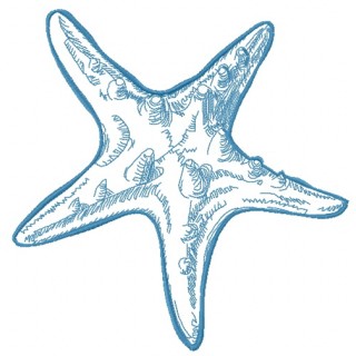 Sea star 4 embroidery design - Embroidery Design