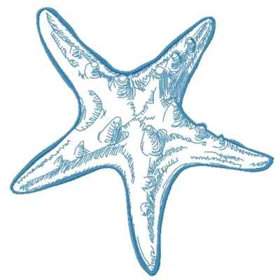Preview of the Sea Star 4 embroidery design showcasing a vibrant sea star motif, ideal for beach-themed projects.