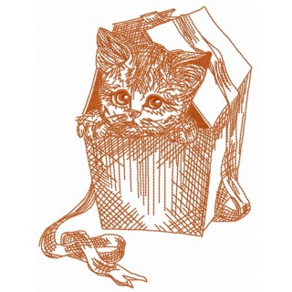 Kitten in a box 2 embroidery design - Embroidery Design